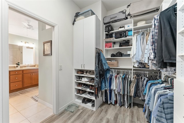 spacious closet featuring ceiling fan, sink, and light hardwood / wood-style flooring