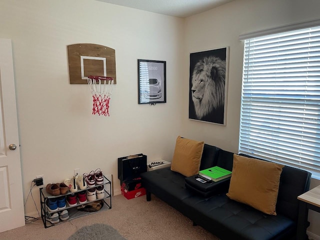 sitting room with carpet