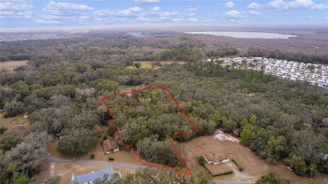 Listing photo 3 for N Quarters Rd, Okahumpka FL 34762