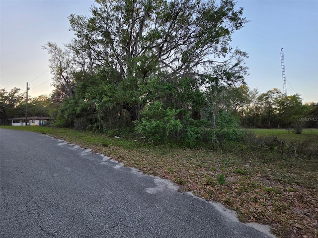 Listing photo 3 for N Quarters Rd, Okahumpka FL 34762