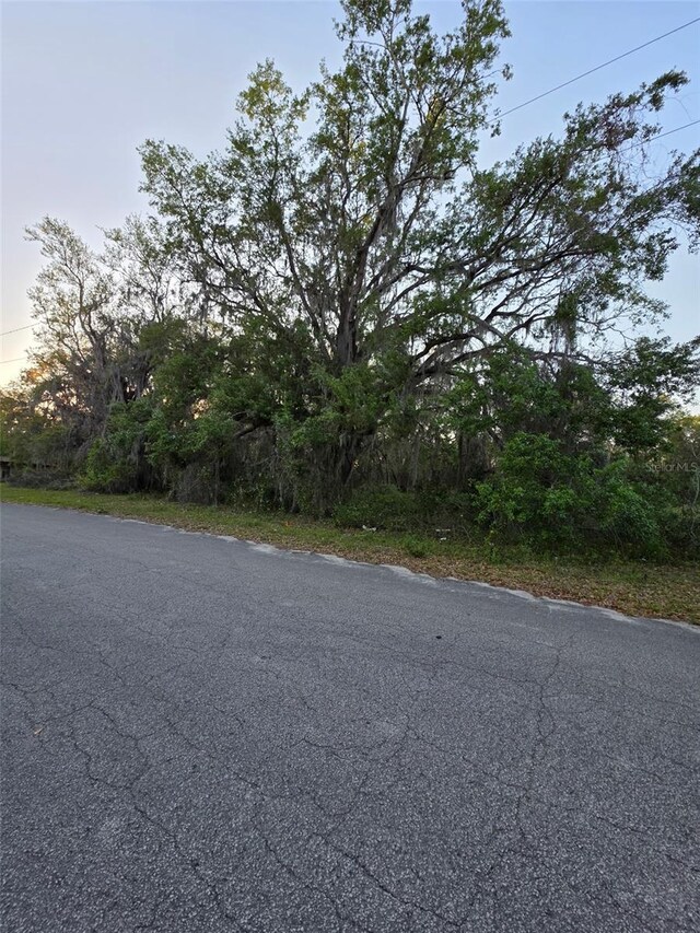 N Quarters Rd, Okahumpka, FL 34762
