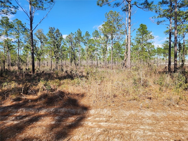 view of local wilderness