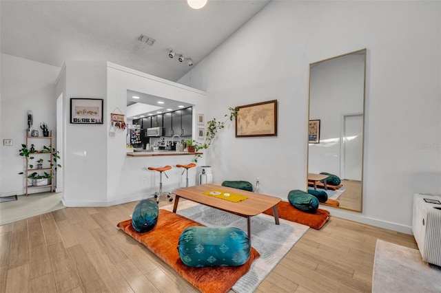 interior space featuring high vaulted ceiling and light wood-type flooring