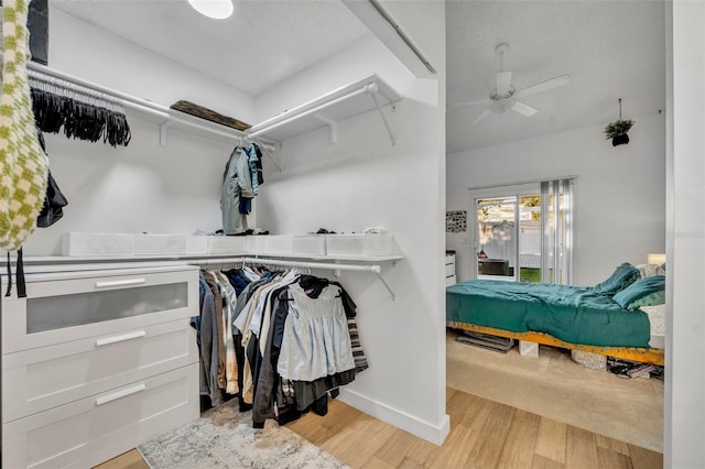 walk in closet featuring ceiling fan and light hardwood / wood-style floors