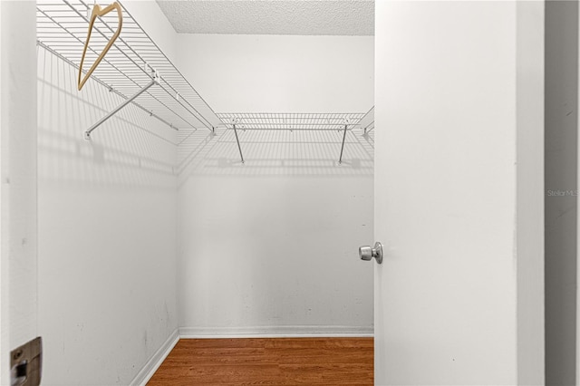 17664 SE 105th Ter, Summerfield, FL 34491 - spacious closet featuring wood finished floors
