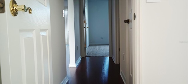 hall with dark wood-type flooring