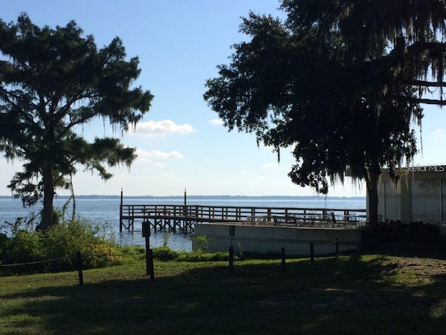 dock area with a water view