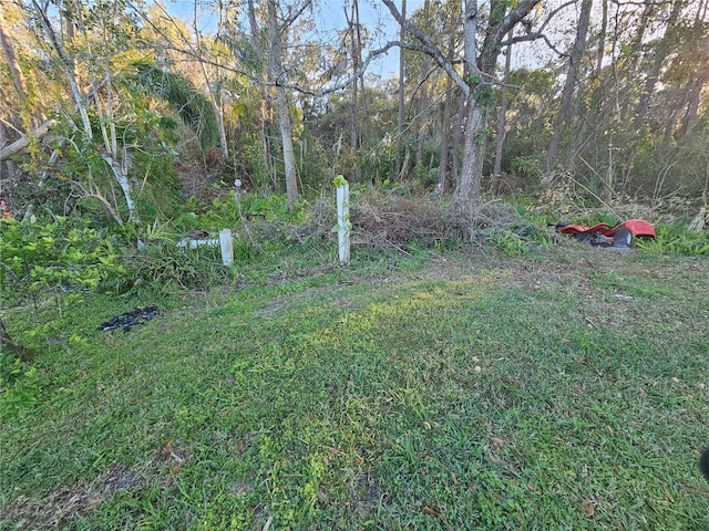 29 Lonesome Pine Trl, Yalaha, FL 34797 - photo 30