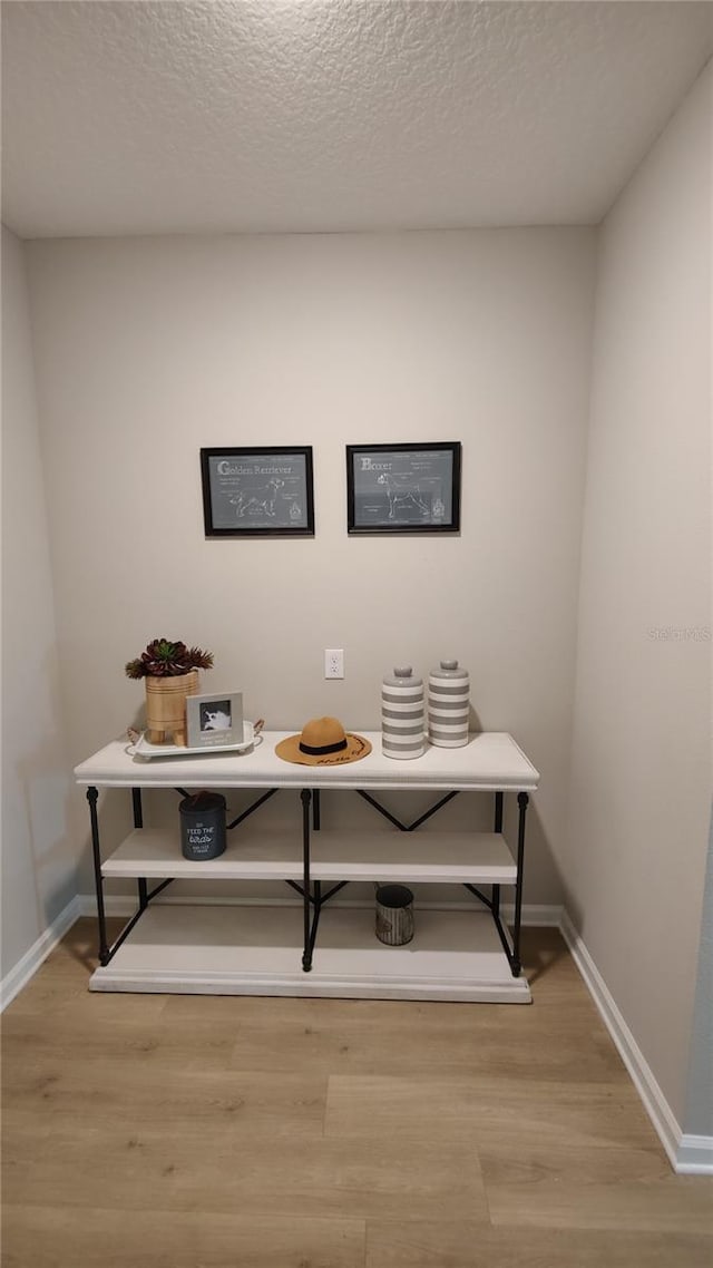 office featuring light wood-type flooring