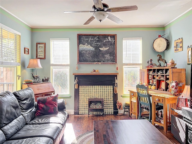 living room featuring ornamental molding, dark hardwood / wood-style flooring, a wealth of natural light, and a fireplace