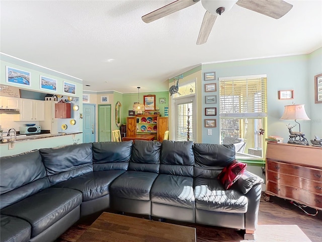 living room with sink, ceiling fan, hardwood / wood-style floors, ornamental molding, and a textured ceiling