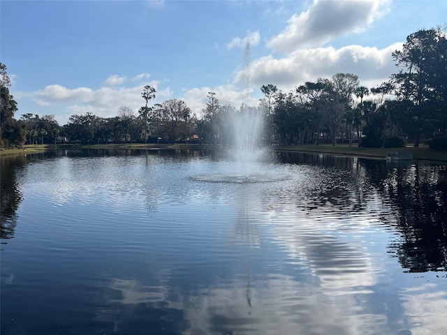 view of water feature