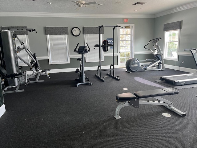 workout area with crown molding, a healthy amount of sunlight, and a textured ceiling