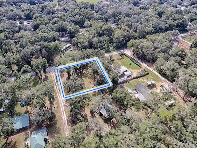 12296 SW 43rd Path, Webster FL, 33597 land for sale