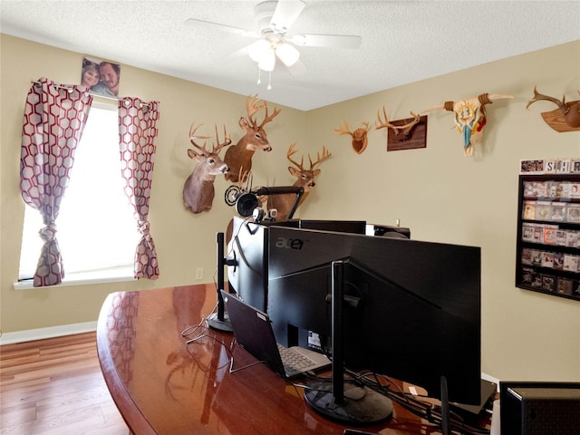 office featuring ceiling fan, plenty of natural light, hardwood / wood-style floors, and a textured ceiling