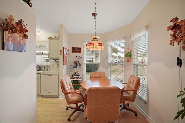 dining room with sink, a textured ceiling, and light wood-type flooring