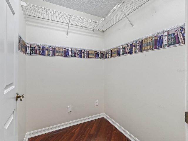 spacious closet featuring wood-type flooring