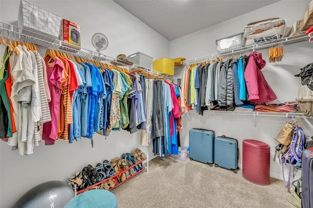 walk in closet featuring carpet floors