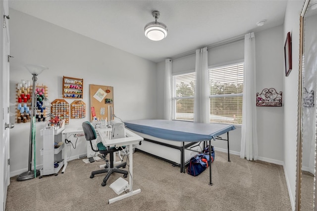 bedroom featuring baseboards and carpet