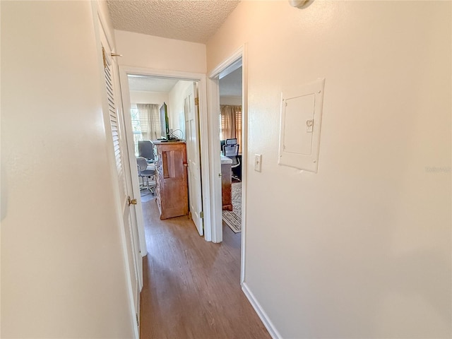 hallway with electric panel, a textured ceiling, and light wood-type flooring