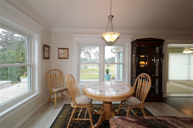 dining area featuring hardwood / wood-style flooring, crown molding, and a wealth of natural light