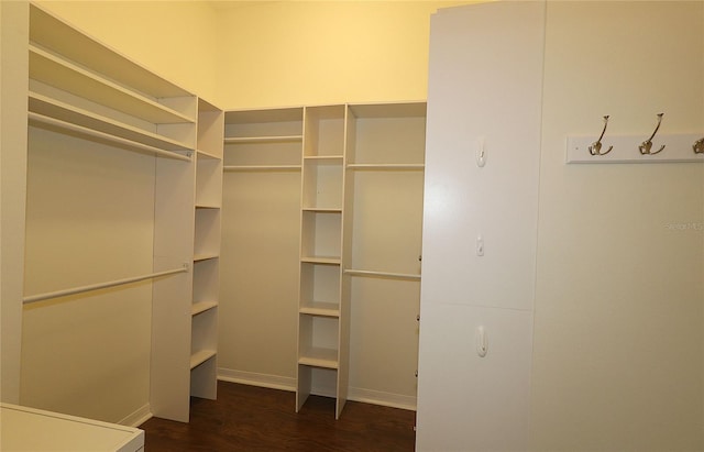 walk in closet featuring dark hardwood / wood-style floors