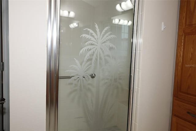 bathroom with a shower with shower door