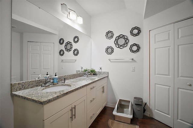 bathroom with vanity and hardwood / wood-style flooring