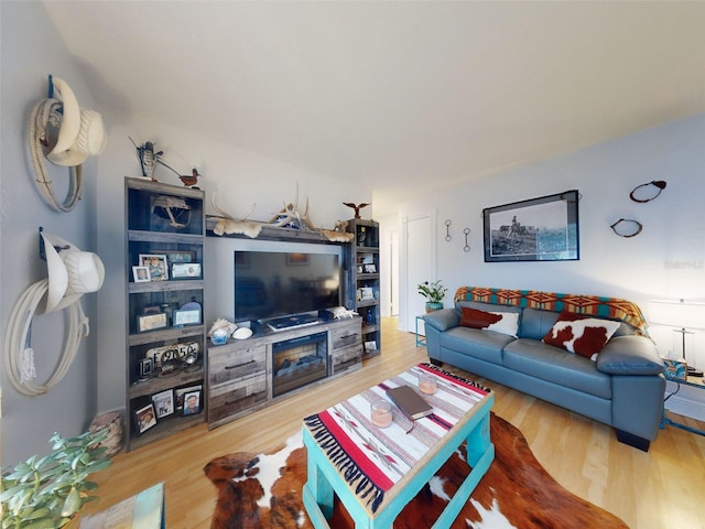 living room with wood-type flooring