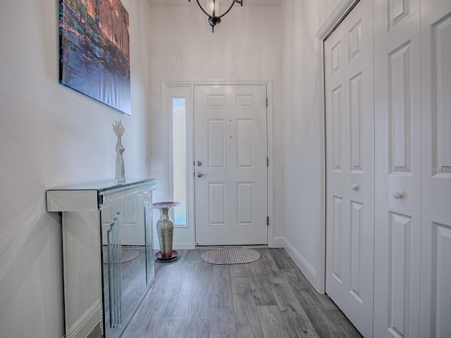 entryway featuring wood-type flooring