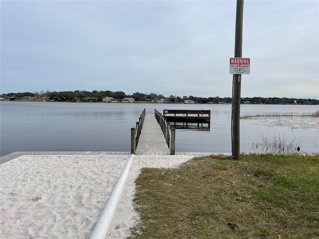 dock area with a water view