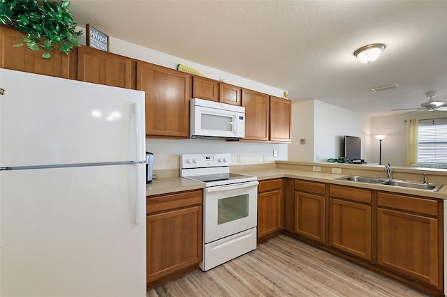 kitchen with ceiling fan, white appliances, light hardwood / wood-style floors, and sink