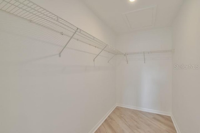 spacious closet with wood-type flooring