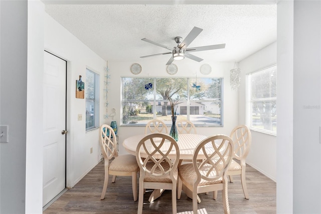 dining room with a healthy amount of sunlight, wood-type flooring, and a textured ceiling