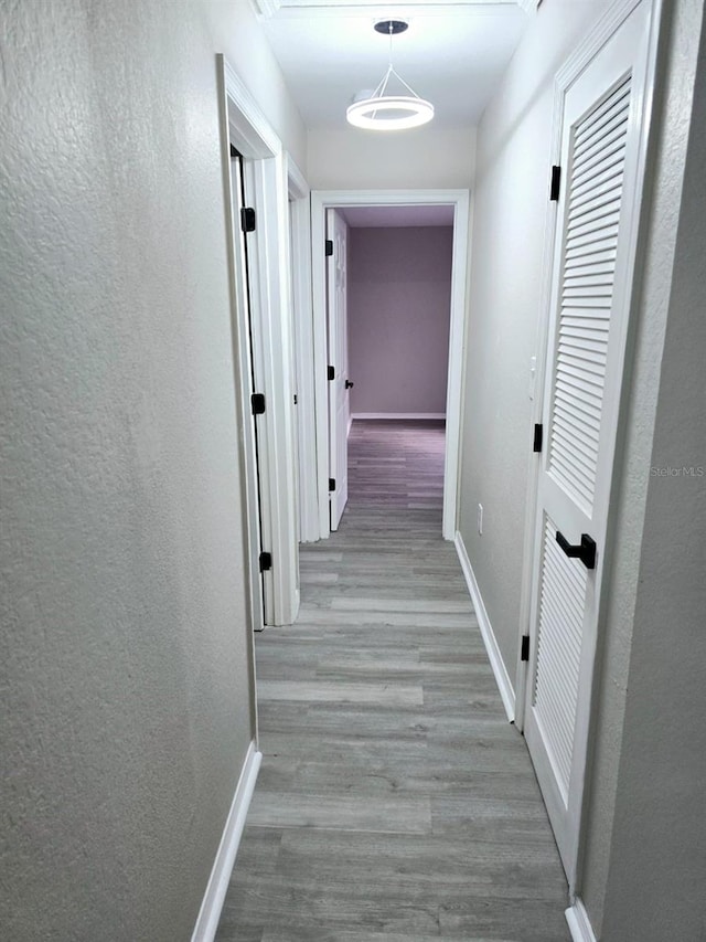 corridor featuring light hardwood / wood-style flooring