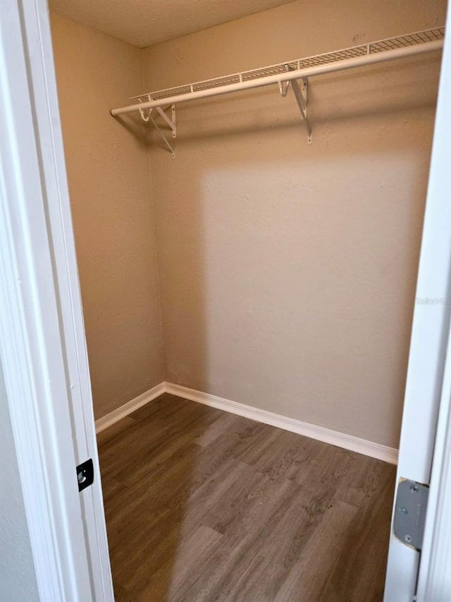 spacious closet featuring dark hardwood / wood-style floors