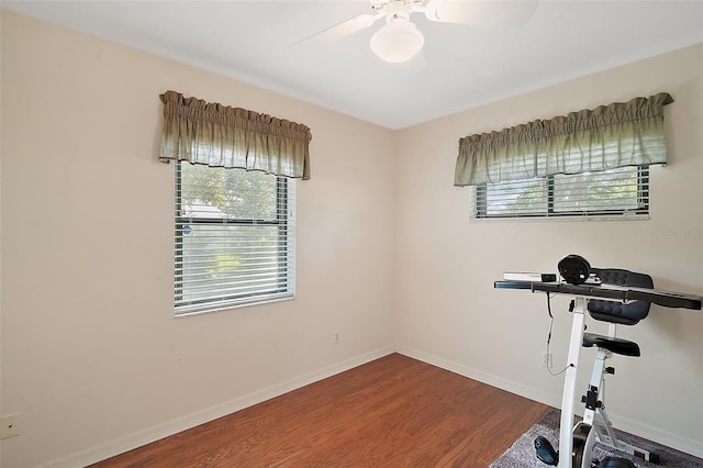 exercise room with hardwood / wood-style flooring and ceiling fan