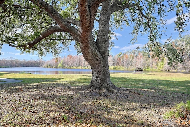 view of yard with a water view