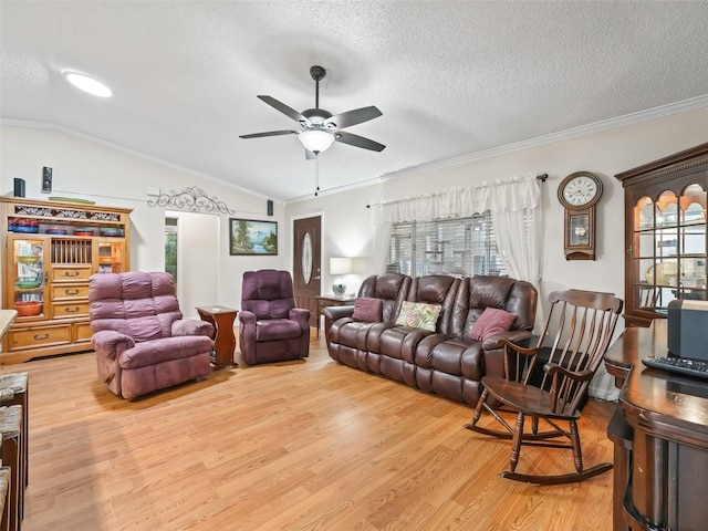 living room featuring lofted ceiling, a textured ceiling, and light wood-type flooring