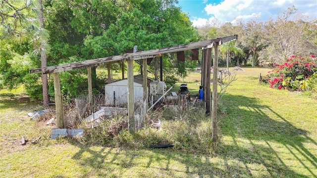 view of yard featuring a storage shed