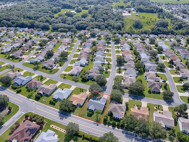 bird's eye view