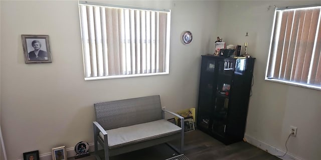 sitting room featuring hardwood / wood-style floors