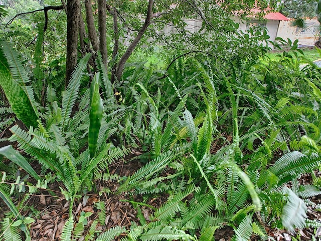 view of nature