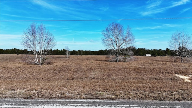 Listing photo 2 for Hammock Grove Rd, Groveland FL 34736