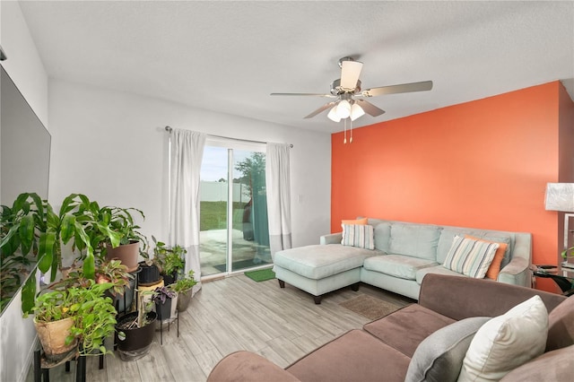 living room with ceiling fan, light hardwood / wood-style floors, and a textured ceiling