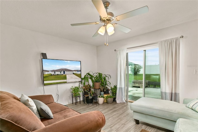 living room with ceiling fan and light hardwood / wood-style floors