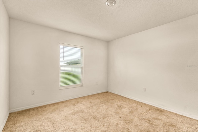 spare room with light colored carpet