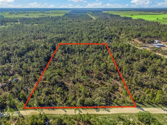 TBD NE 47th St, Williston FL, 32696 land for sale