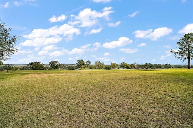 view of yard with a rural view