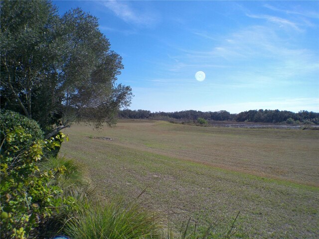 view of landscape with a rural view